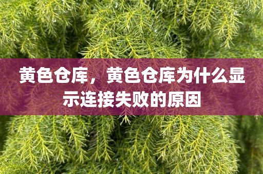 黄色仓库，黄色仓库为什么显示连接失败的原因
