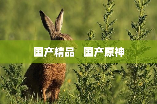 国产精品   国产原神