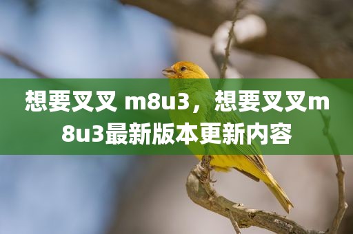 想要叉叉 m8u3，想要叉叉m8u3最新版本更新内容