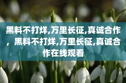黑料不打烊,万里长征,真诚合作，黑料不打烊,万里长征,真诚合作在线观看