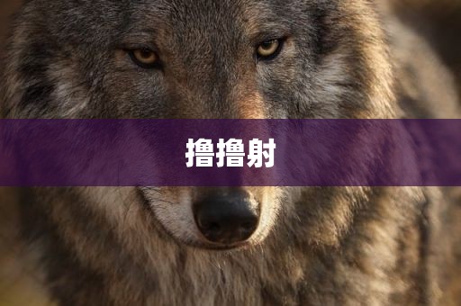 撸撸射