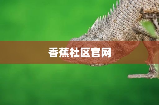 香蕉社区官网