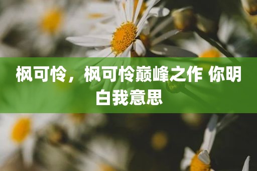 枫可怜，枫可怜巅峰之作 你明白我意思