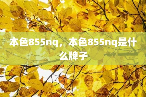 本色855nq，本色855nq是什么牌子