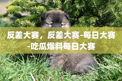 反差大赛，反差大赛-每日大赛-吃瓜爆料每日大赛