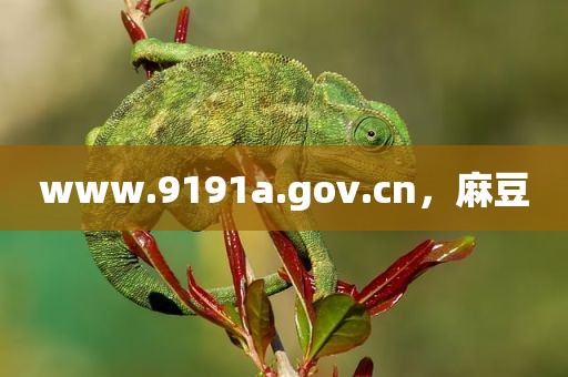 www.9191a.gov.cn，麻豆