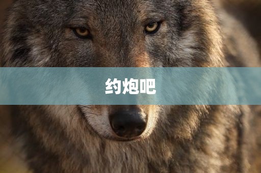 约炮吧