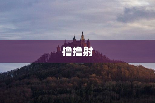 撸撸射
