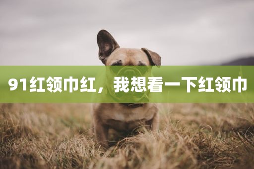 91红领巾红，我想看一下红领巾