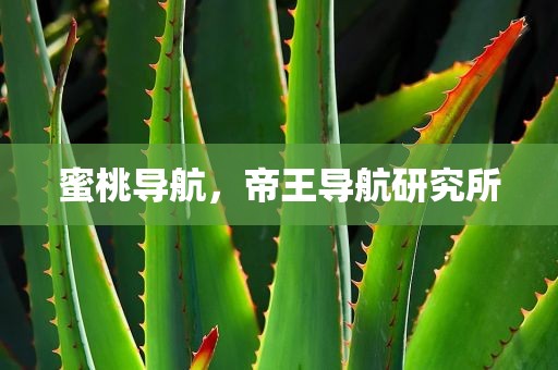 蜜桃导航，帝王导航研究所