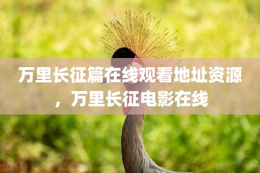 万里长征篇在线观看地址资源，万里长征电影在线