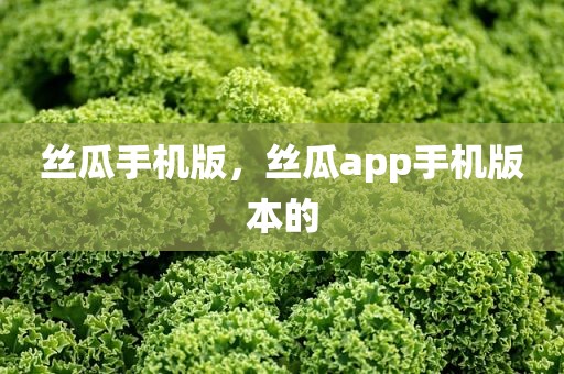 丝瓜手机版，丝瓜app手机版本的