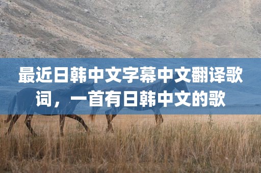 最近日韩中文字幕中文翻译歌词，一首有日韩中文的歌