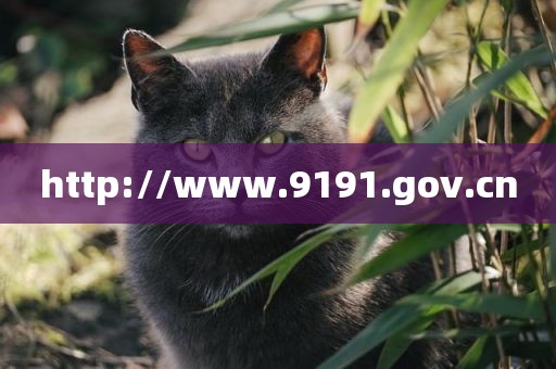 http://www.9191.gov.cn