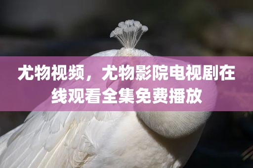 尤物视频，尤物影院电视剧在线观看全集免费播放