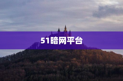 51暗网平台