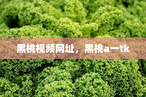 黑桃视频网址，黑桃a一tk