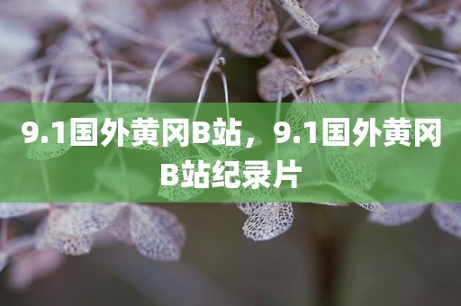 9.1国外黄冈B站，9.1国外黄冈B站纪录片