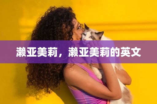 濑亚美莉，濑亚美莉的英文