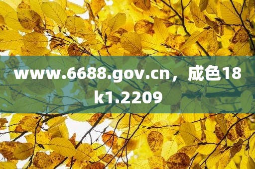 www.6688.gov.cn，成色18k1.2209