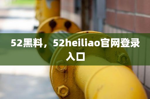 52黑料，52heiliao官网登录入口