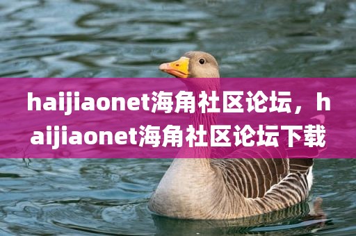haijiaonet海角社区论坛，haijiaonet海角社区论坛下载