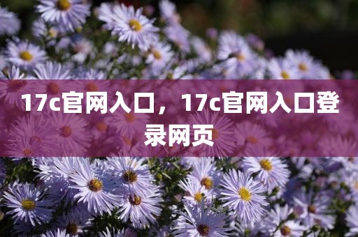 17c官网入口，17c官网入口登录网页