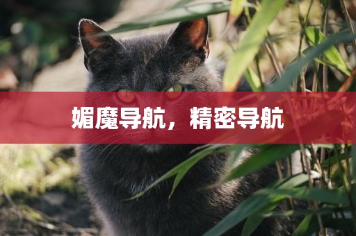 媚魔导航，精密导航