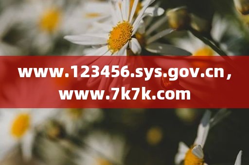 www.123456.sys.gov.cn，www.7k7k.com
