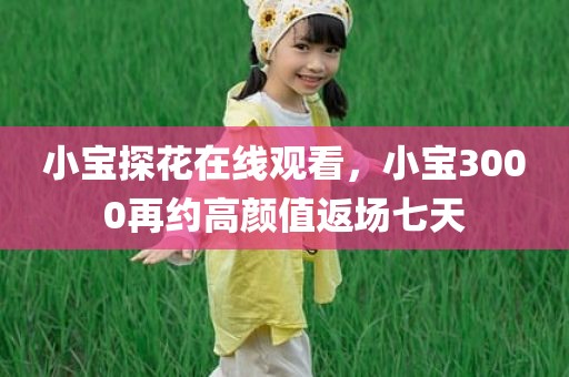 小宝探花在线观看，小宝3000再约高颜值返场七天