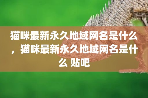 猫咪最新永久地域网名是什么，猫咪最新永久地域网名是什么 贴吧