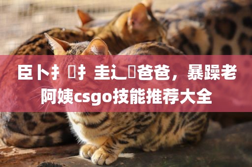 臣卜扌喿扌圭辶畐爸爸，暴躁老阿姨csgo技能推荐大全