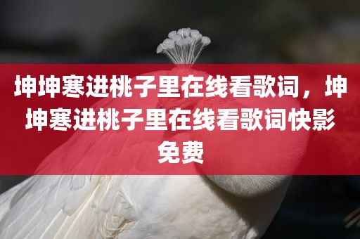 坤坤寒进桃子里在线看歌词，坤坤寒进桃子里在线看歌词快影免费