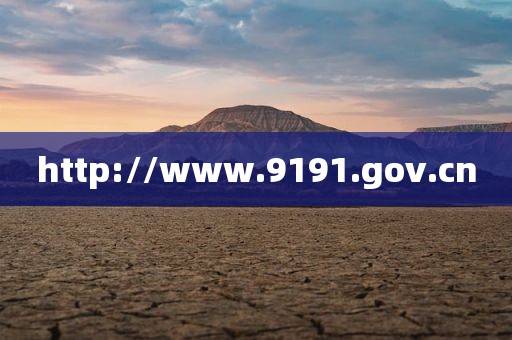 http://www.9191.gov.cn
