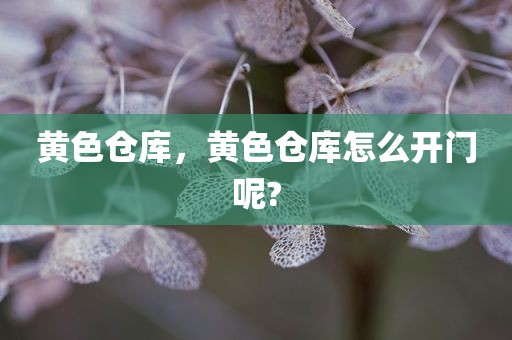 黄色仓库，黄色仓库怎么开门呢?