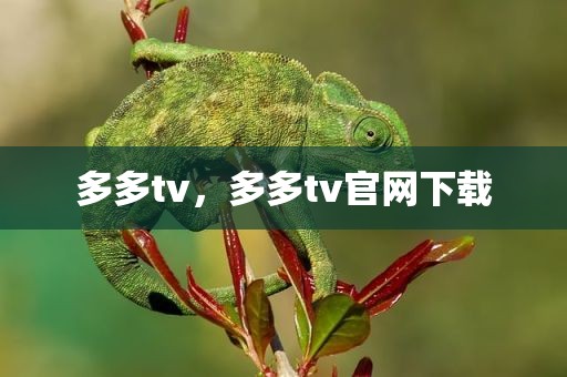 多多tv，多多tv官网下载