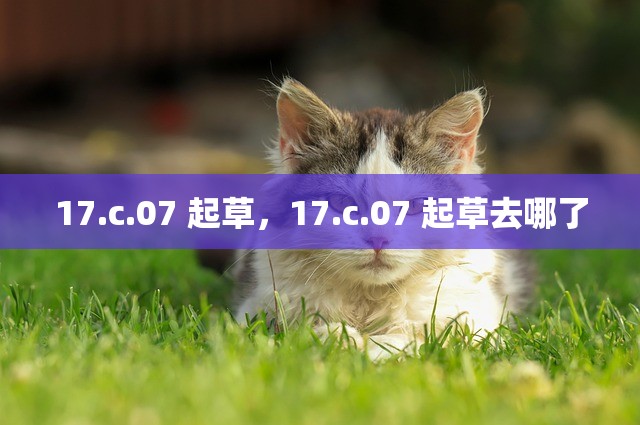 17.c.07 起草，17.c.07 起草去哪了