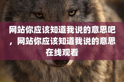 网站你应该知道我说的意思吧，网站你应该知道我说的意思在线观看