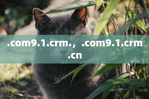 .com9.1.crm.，.com9.1.crm.cn