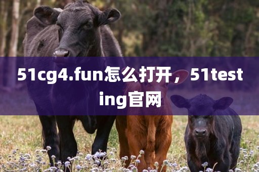 51cg4.fun怎么打开，51testing官网