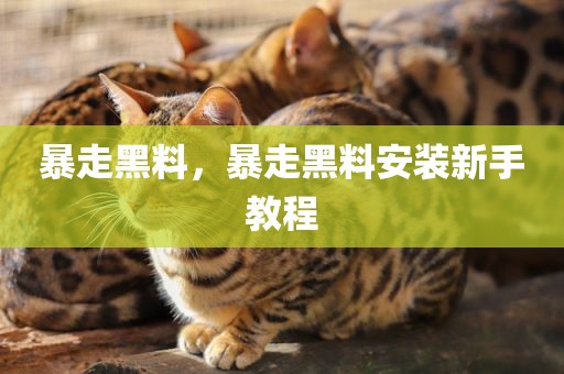 暴走黑料，暴走黑料安装新手教程