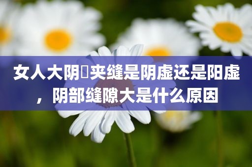 女人大阴脣夹缝是阴虚还是阳虚，阴部缝隙大是什么原因
