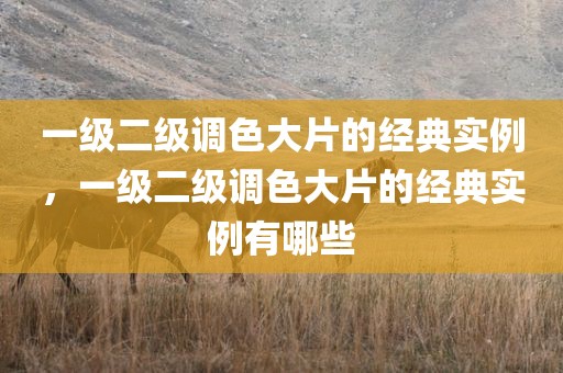 一级二级调色大片的经典实例，一级二级调色大片的经典实例有哪些