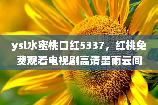 ysl水蜜桃口红5337，红桃免费观看电视剧高清墨雨云间