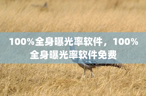 100%全身曝光率软件，100%全身曝光率软件免费