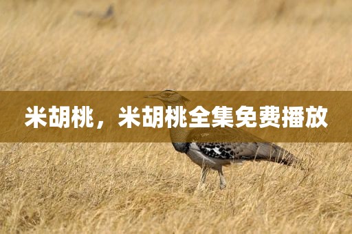 米胡桃，米胡桃全集免费播放
