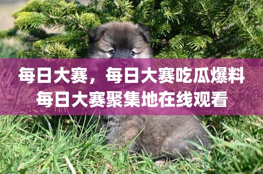每日大赛，每日大赛吃瓜爆料每日大赛聚集地在线观看