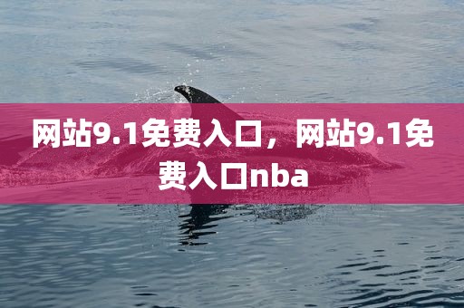 网站9.1免费入口，网站9.1免费入口nba