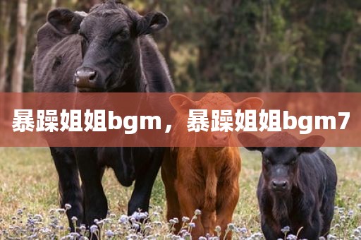 暴躁姐姐bgm，暴躁姐姐bgm7