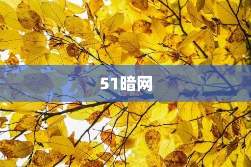 51暗网